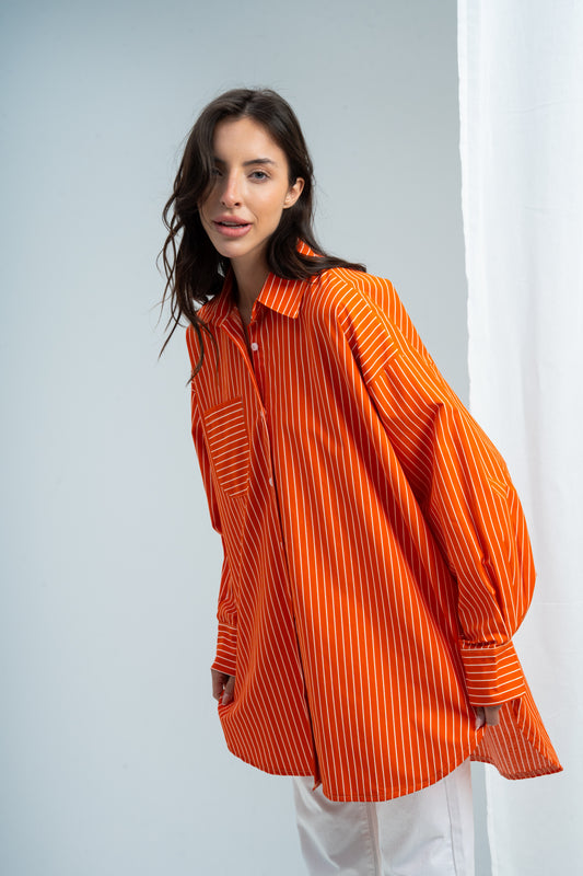 Stripe Poplin Shirt